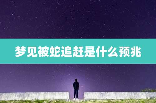 梦见被蛇追赶是什么预兆