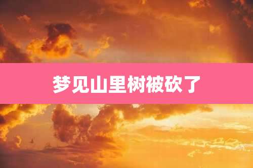 梦见山里树被砍了