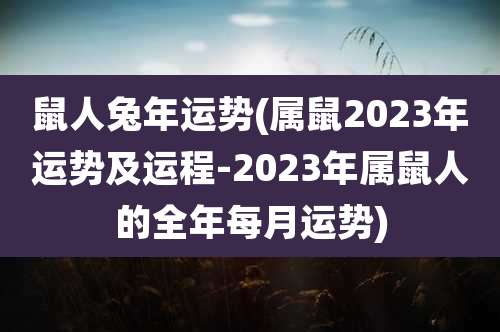 鼠人兔年运势(属鼠2023年运势及运程-2023年属鼠人的全年每月运势)