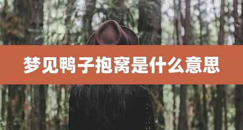 梦见鸭子抱窝是什么意思