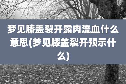 梦见膝盖裂开露肉流血什么意思(梦见膝盖裂开预示什么)