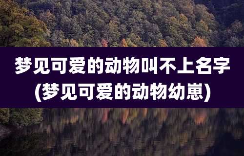梦见可爱的动物叫不上名字(梦见可爱的动物幼崽)