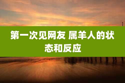 第一次见网友 属羊人的状态和反应