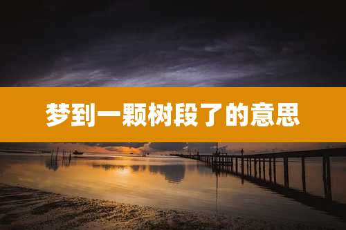 梦到一颗树段了的意思