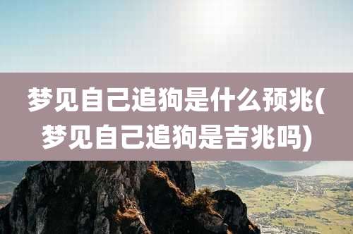 梦见自己追狗是什么预兆(梦见自己追狗是吉兆吗)