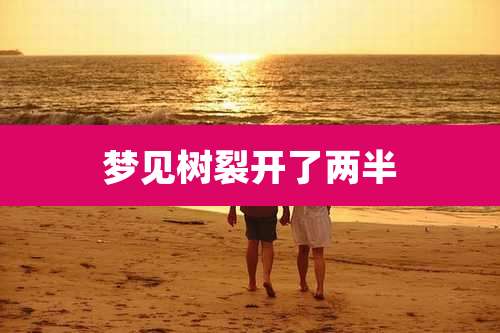 梦见树裂开了两半