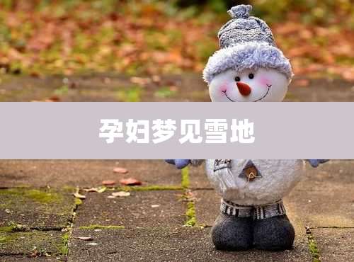 孕妇梦见雪地