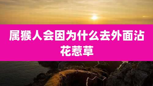 属猴人会因为什么去外面沾花惹草