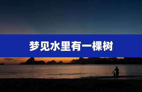 梦见水里有一棵树