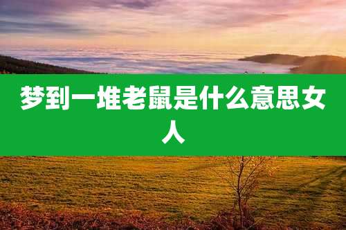 梦到一堆老鼠是什么意思女人