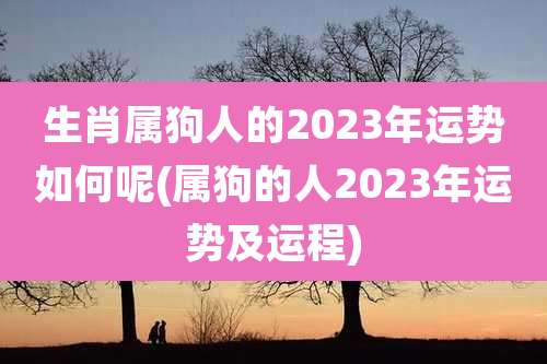 生肖属狗人的2023年运势如何呢(属狗的人2023年运势及运程)
