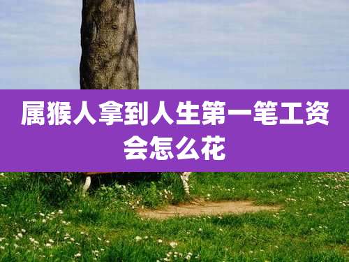 属猴人拿到人生第一笔工资会怎么花