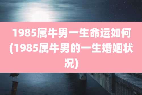 1985属牛男一生命运如何(1985属牛男的一生婚姻状况)