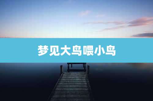 梦见大鸟喂小鸟