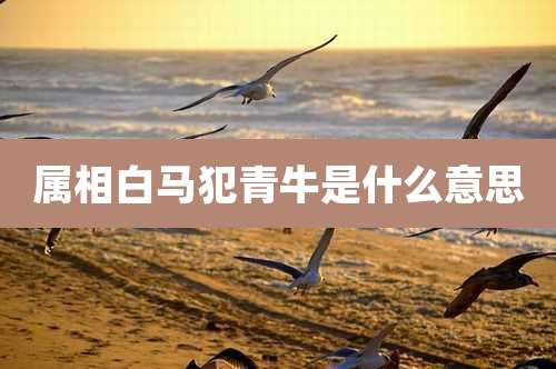 属相白马犯青牛是什么意思