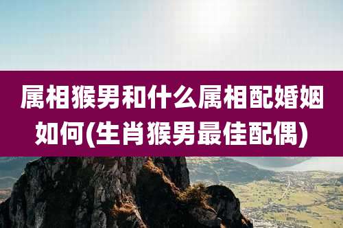 属相猴男和什么属相配婚姻如何(生肖猴男最佳配偶)