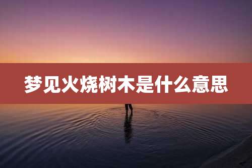 梦见火烧树木是什么意思