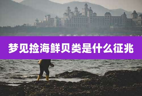 梦见捡海鲜贝类是什么征兆