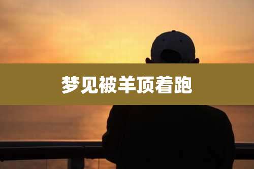 梦见被羊顶着跑