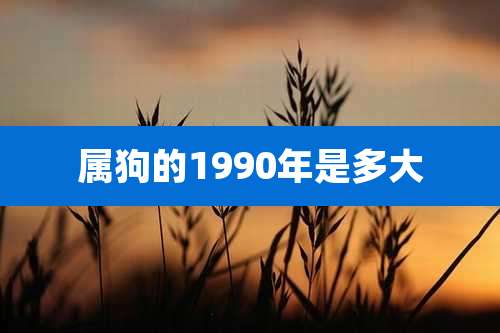 属狗的1990年是多大