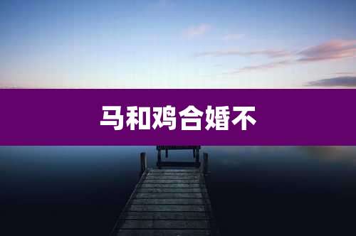 马和鸡合婚不