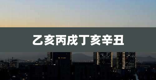 乙亥丙戌丁亥辛丑