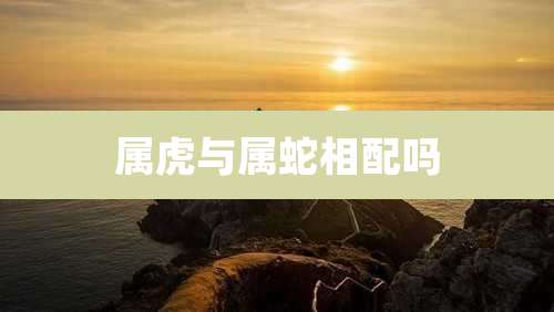 属虎与属蛇相配吗