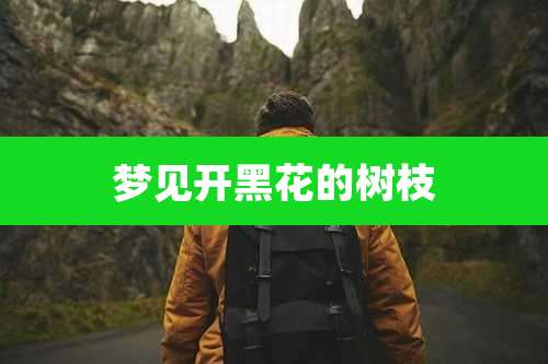 梦见开黑花的树枝