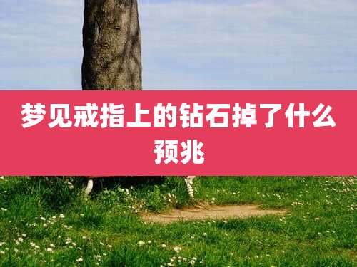 梦见戒指上的钻石掉了什么预兆