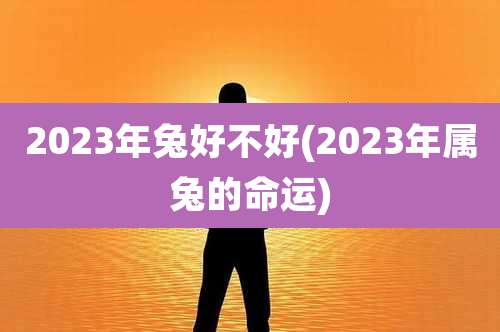 2023年兔好不好(2023年属兔的命运)