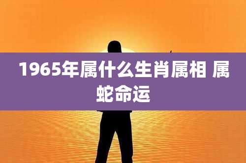 1965年属什么生肖属相 属蛇命运