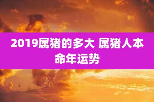 2019属猪的多大 属猪人本命年运势