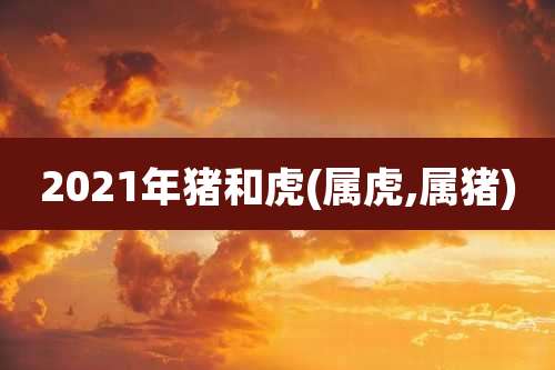 2021年猪和虎(属虎,属猪)
