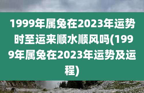1999年属兔在2023年运势 时至运来顺水顺风吗(1999年属兔在2023年运势及运程)