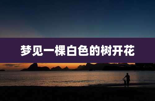 梦见一棵白色的树开花