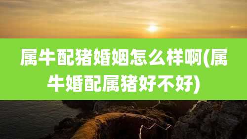 属牛配猪婚姻怎么样啊(属牛婚配属猪好不好)