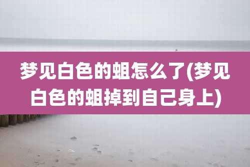 梦见白色的蛆怎么了(梦见白色的蛆掉到自己身上)