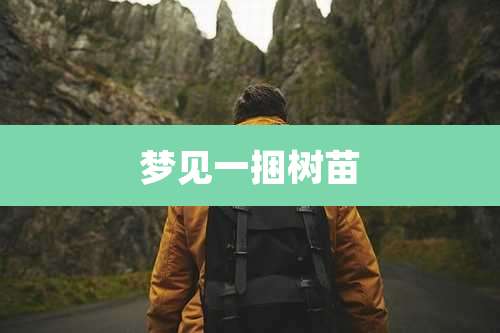 梦见一捆树苗