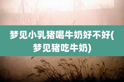 梦见小乳猪喝牛奶好不好(梦见猪吃牛奶)