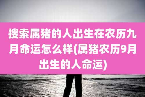 搜索属猪的人出生在农历九月命运怎么样(属猪农历9月出生的人命运)