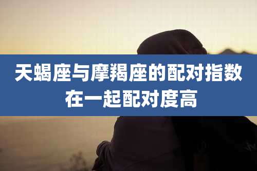 天蝎座与摩羯座的配对指数 在一起配对度高