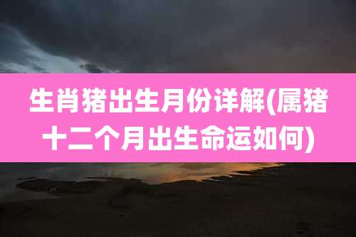 生肖猪出生月份详解(属猪十二个月出生命运如何)