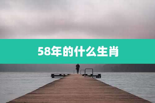 58年的什么生肖