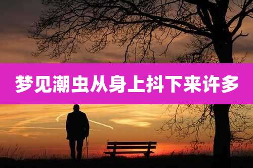 梦见潮虫从身上抖下来许多