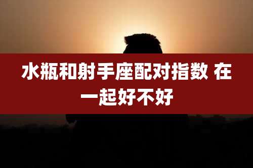 水瓶和射手座配对指数 在一起好不好