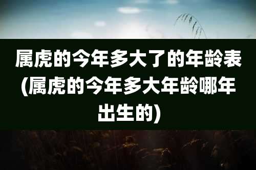 属虎的今年多大了的年龄表(属虎的今年多大年龄哪年出生的)
