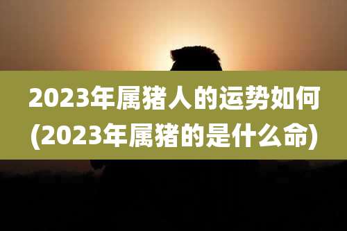 2023年属猪人的运势如何(2023年属猪的是什么命)
