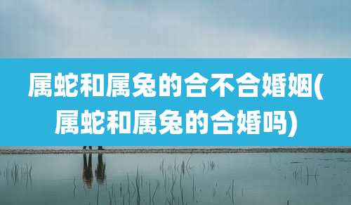 属蛇和属兔的合不合婚姻(属蛇和属兔的合婚吗)