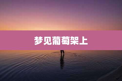 梦见葡萄架上