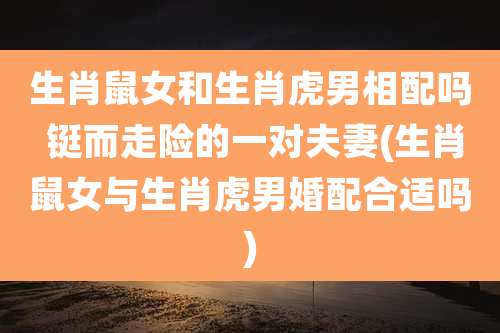 生肖鼠女和生肖虎男相配吗 铤而走险的一对夫妻(生肖鼠女与生肖虎男婚配合适吗)